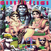 Vishnu Puja by Genetic Drugs