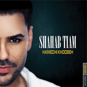 Shahab Tiam: Hamechi Khoobeh