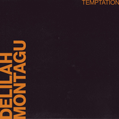 Delilah Montagu: Temptation