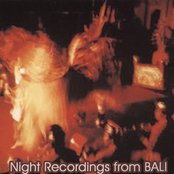 Night Recordings From Bali