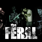 The Feral