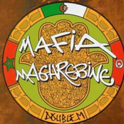 mafia maghrebine