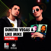 Salinas Inclu. All Remixes
