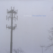 Buttercup: The Weather Here