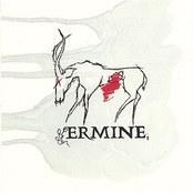 Crystalline by Ermine