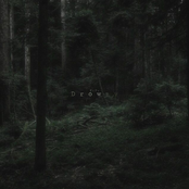 Drowzy