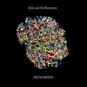 Meteorites by Echo & The Bunnymen