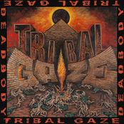 Tribal Gaze: Twitching On The Cross