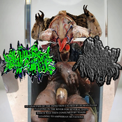 An Analysis Of The Infections Caused By Human Flesh Floating In The River For Several Days Which Was Then Consumend By Toads Leading To Amphibian Mutations