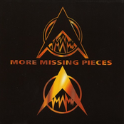 more missing pieces