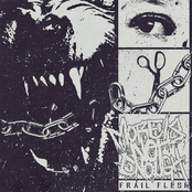 FRAIL FLESH