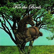 For the Birds