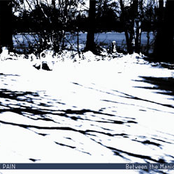 Between The Manic Phases