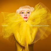 Girassóis E Tempestades