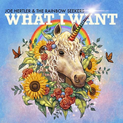 Joe Hertler and The Rainbow Seekers: What I Want