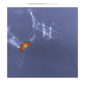 2021 | Label Compilation (mixed by todos)