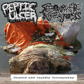 Bloated and Rapidly Decomposing