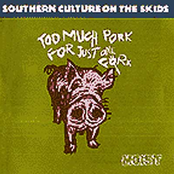 Five Dollar Shoes by Southern Culture On The Skids