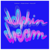 Dolphin Dream