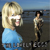 Why Don't You Like Me? by The Lovely Eggs