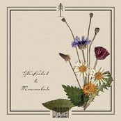 Pflücksalat und Marmelade