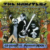 Pet Sounds: 10 Years of Rodent Rock (disc 2)