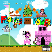 FLOWER POWER