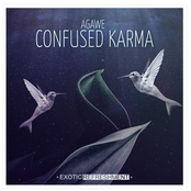 Confused Karma