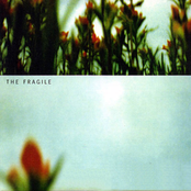 The Fragile, Right