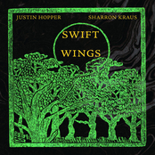 Swift Wings