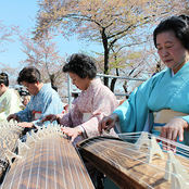 Washington Toho Koto Society