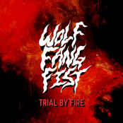 Trial By Fire