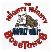 Enter Sandman by The Mighty Mighty Bosstones