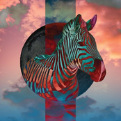 Quando Alguém É Idiota (Sempre Eu)