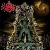 The Realms of Perception