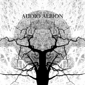 Audio Albion