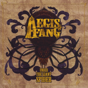 Under the Giant Spider