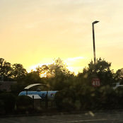 Hobbies & Fascinations