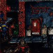 Embarassed to Be Human