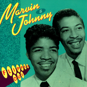 Sun Was Shining by Marvin & Johnny