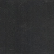 Electronic Music for Videoart