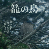 籠の鳥 - Single