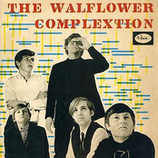 The Walflower Complextion