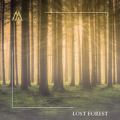 Lost Forest