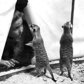 Live at the Haunt 4.5.08