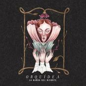 Orquídea