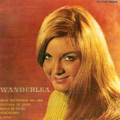 Wanderléia