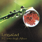 Il canto degli alberi