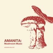 Modern Biology: Amanita: Mushroom Music