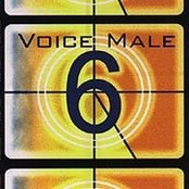 voice male